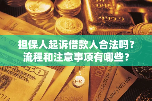 北京担保人起诉借款人合法吗？流程和注意事项有哪些？