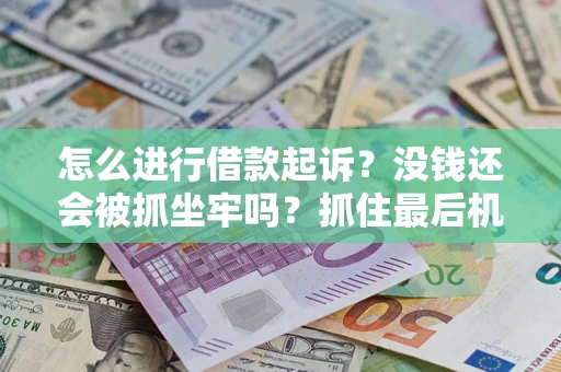 北京怎么进行借款起诉？没钱还会被抓坐牢吗？抓住最后机会！