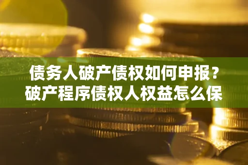 北京债务人破产债权如何申报？破产程序债权人权益怎么保障？