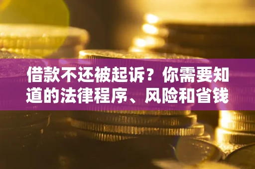 北京借款不还被起诉？你需要知道的法律程序、风险和省钱技巧